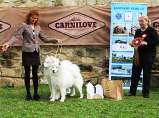 Speciální Výstava Chržín   20250927 8